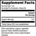 moringa-facts